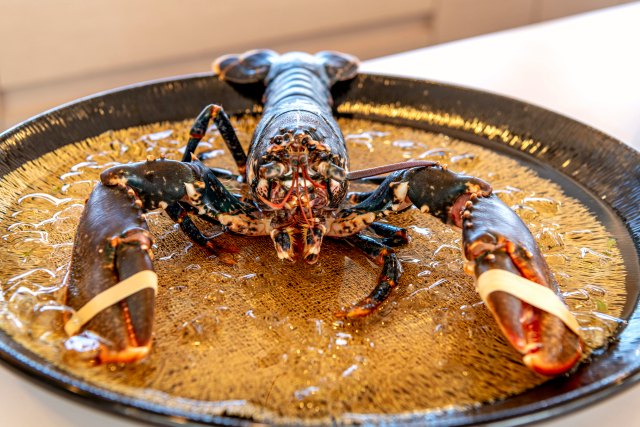 Fresh lobster