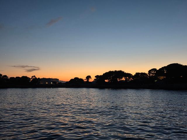 Pine-tree silhouette of Cap d’Antibes at sunset