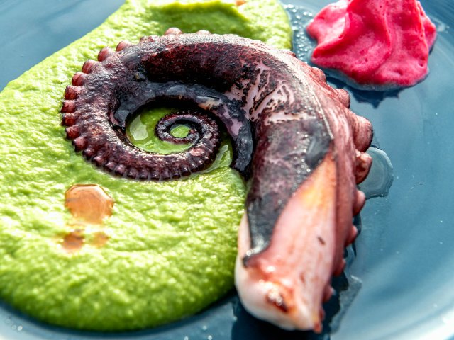 Octopus on pea purée with beetroot chutney
